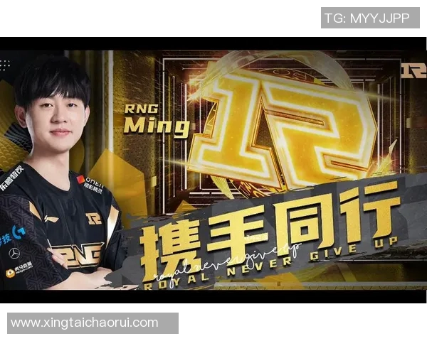 RNG战队S15征程回顾与奋斗历程的深度解析