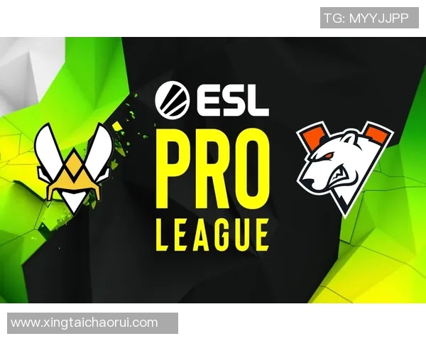 探索黄秀英的CSGO人生与s15电竞总决赛的深度对话与启示